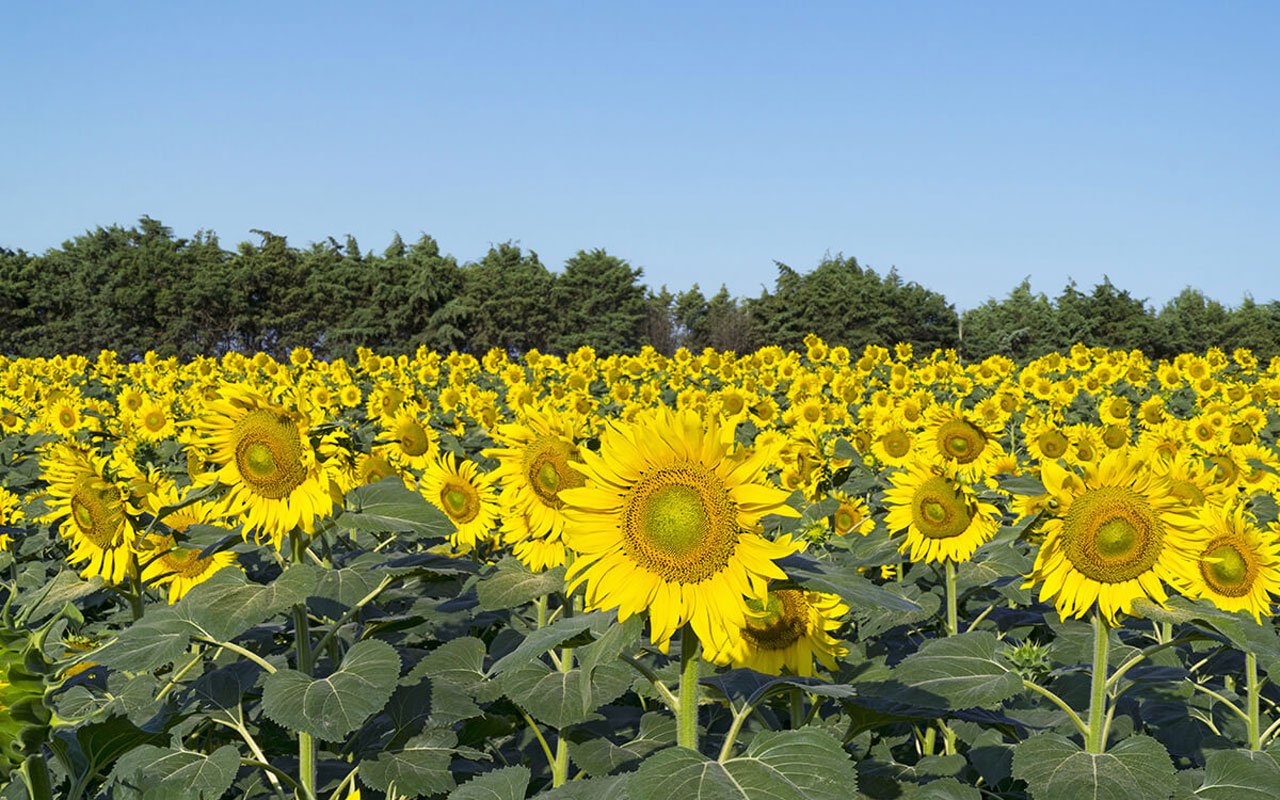 Lüleburgaz Su Deposu Satış ve Montaj Hizmetleri